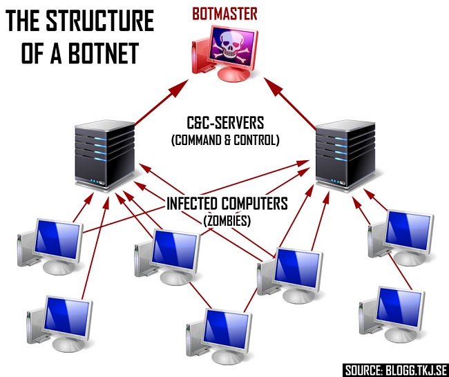 Botnet eradication